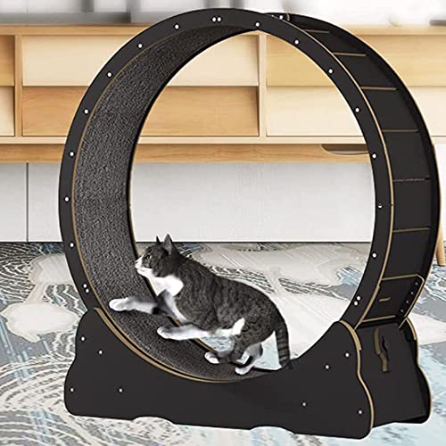 Katzenlaufrad, leises Laufrad Laufband für Indoor-Katzen, Sportspielzeug, groß mit Sicherungsstift und Teppich, Trainingsgerät Katzen, Schwarz-L Katzenlaufrad, leises Laufrad Laufband für Indoor-Katzen, Sportspielzeug, groß mit Sicherungsstift und Teppich, Trainingsgerät Katzen, Schwarz-L von Generisch