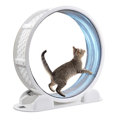 Katzenlaufrad Großes Laufrad für Katzen 103.8cm, Solar Ladungs Katzenübungsrad mit Schrittzähler, Lautlose Katzenläufer Katzen Trainingsräders für Innenkatze, Kätzchen Üb Katzenlaufrad Großes Laufrad für Katzen 103.8cm, Solar Ladungs Katzenübungsrad mit Schrittzähler, Lautlose Katzenläufer Katzen Trainingsräders für Innenkatze, Kätzchen Üb von Generisch