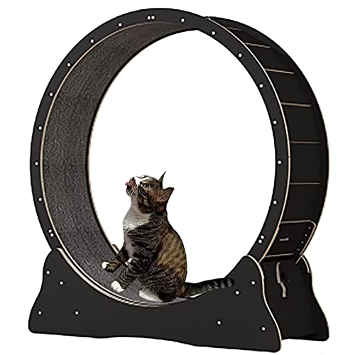 Katzenlaufrad Indoor Laufband - Kleintiere Fitness Gewichtsverlust Gerät zum Laufen - Katzenlaufbahn Spielzeug für Haustier Übung und Spaß von Generisch