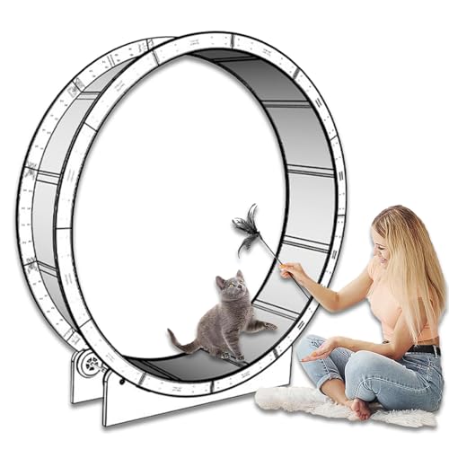 Katzenlaufrad - Indoor Laufband für Katzen, extra großes Laufrad, geeignet für kleine bis große Indoor-Katzen Katzenlaufrad - Indoor Laufband für Katzen, extra großes Laufrad, geeignet für kleine bis große Indoor-Katzen von Generisch