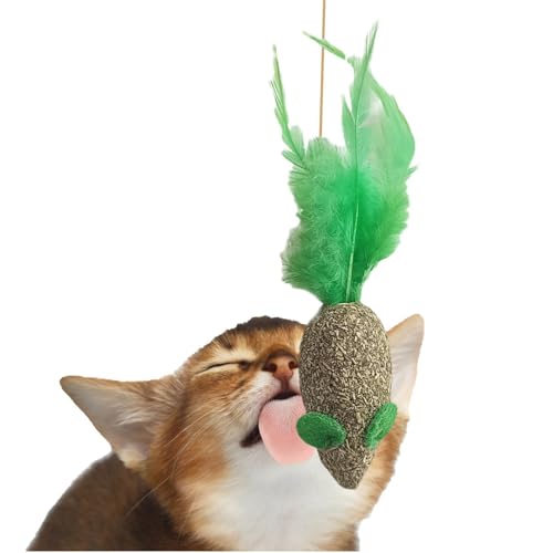 Katzenminze Ball Zum Spielen, Spielzeug Mit Katzenminze Zubehör Für Katzen, Mit Katzenminze, Spielzeug Katze Cat Accessories By, Cartoons Style Essbare Sicherheit Gesund Katzenminze Ball Zum Spielen, Spielzeug Mit Katzenminze Zubehör Für Katzen, Mit Katzenminze, Spielzeug Katze Cat Accessories By, Cartoons Style Essbare Sicherheit Gesund von Generisch