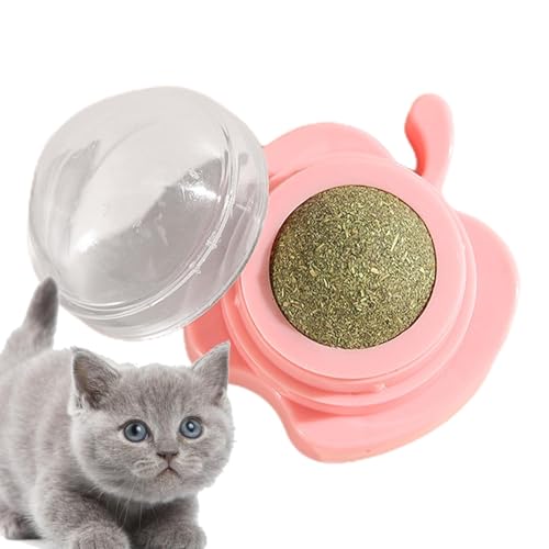 Katzenminze-Wandspielzeug, Katzenleckerli, Katzenminze-Bälle | Katzen-Kauspielzeug - Reinigung Zähne Spielzeug Katze Wanddekoration, Katzenminze Spielzeug Katze behandelt Katzenminze Bälle für Katzen Katzenminze-Wandspielzeug, Katzenleckerli, Katzenminze-Bälle | Katzen-Kauspielzeug - Reinigung Zähne Spielzeug Katze Wanddekoration, Katzenminze Spielzeug Katze behandelt Katzenminze Bälle für Katzen von Generisch