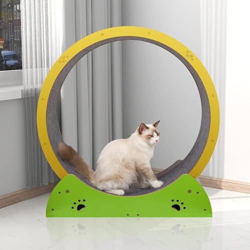 Katzenrad, Laufband-Rad-Trainingsgerät für Indoor-Katzen, Übung mit austauschbaren Griffpolstern, geräuschlose und geräuschlose Rollen, Haustier-Laufruhe frei Katzenrad, Laufband-Rad-Trainingsgerät für Indoor-Katzen, Übung mit austauschbaren Griffpolstern, geräuschlose und geräuschlose Rollen, Haustier-Laufruhe frei von Generisch