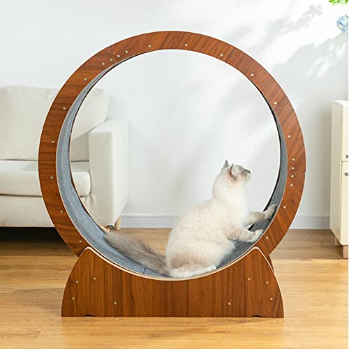 Katzenrad, Laufrad für Indoor-Katzen, Laufband mit Teppichlaufbahn, Katzenabnahmegerät, verhindert Mangel an Laufband, M von Generisch