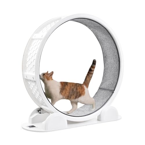 Katzenrad, Laufrad für Katzen,Geräuschlose Katze Fitness -Trainingräder - Solar -Ladungs -Katzenhamsterrad mit Schrittzähler, Katzenspielzeug für Katze, Kätzchen, Haustiere Katzenrad, Laufrad für Katzen,Geräuschlose Katze Fitness -Trainingräder - Solar -Ladungs -Katzenhamsterrad mit Schrittzähler, Katzenspielzeug für Katze, Kätzchen, Haustiere von Generisch