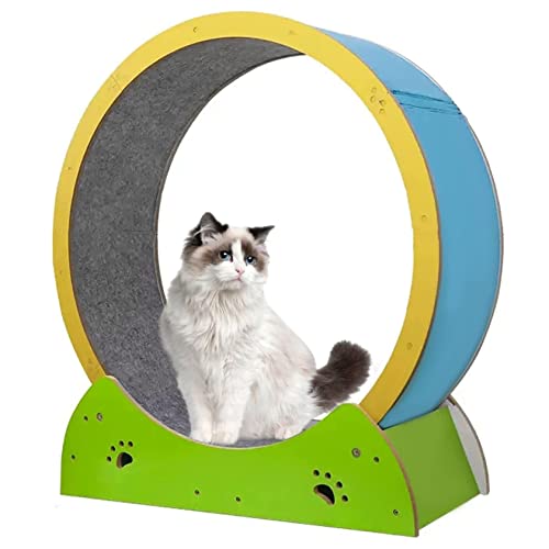 Katzenrad Laufband Laufrad Trainingsgerät für Indoor Katzen Spielzeug Möbel Roller Laufband Alle Haustiere Fitness Verlust Gewicht Gerät von Generisch