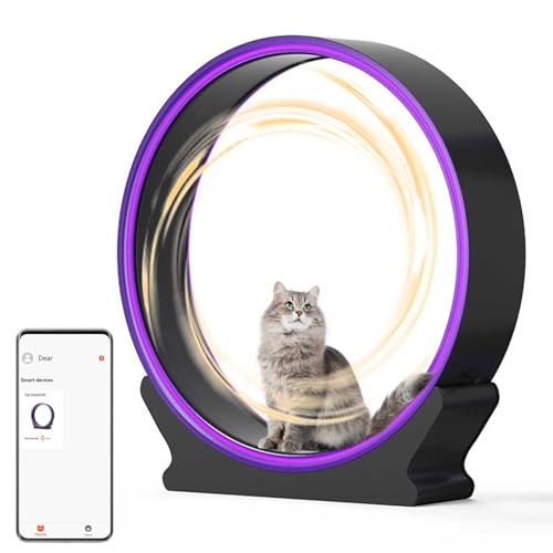 Katzenrad-Trainingsgerät für Indoor-Katzen, verbessert das Leben der Katze und fördert Gewichtsverlust, ultra-leise und App-verbunden, 40 große Katzenlaufräder, das unverzichtbare Laufband Ihrer Katze Katzenrad-Trainingsgerät für Indoor-Katzen, verbessert das Leben der Katze und fördert Gewichtsverlust, ultra-leise und App-verbunden, 40 große Katzenlaufräder, das unverzichtbare Laufband Ihrer Katze von Generisch