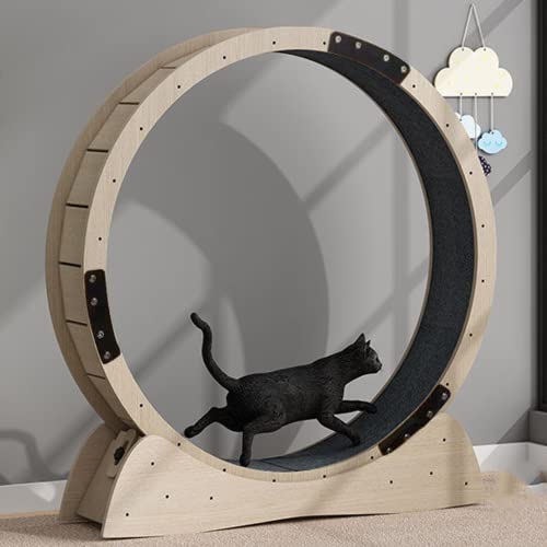 Katzenrad für Indoor-Katzen, 120 cm, Sicherheitsschloss, geräuschlose Rollen, austauschbare Griffpolster – Haustier-Gewichtsverlust-Übungsrad von Generisch