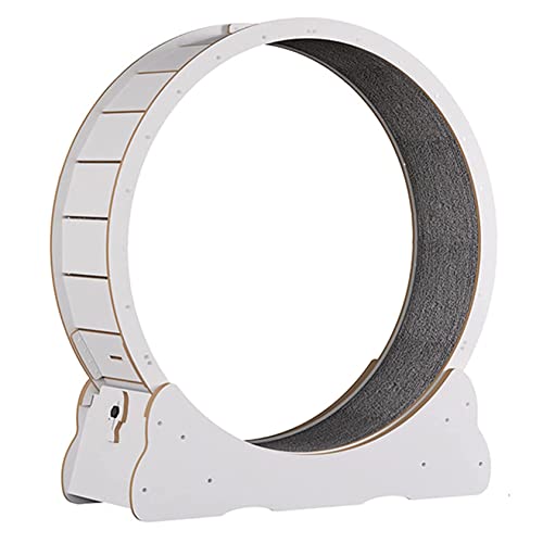 Katzenräder, Spielzeug, Indoor-Trainingsrad, robust, kleine Lücke, leise und geräuschlos, Rollen für Katzentrainer, Holzfarbe L Katzenräder, Spielzeug, Indoor-Trainingsrad, robust, kleine Lücke, leise und geräuschlos, Rollen für Katzentrainer, Holzfarbe L von Generisch