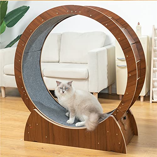 Katzenspielzeug, Laufband mit Katzenrad, leise, klein, mittel, groß, Laufband, Spielzeug/Katzenkratzbrett, Sicherheit gegen Einklemmen, leises Laufen – Katzen Gewichtsverlustgerät, L von Generisch