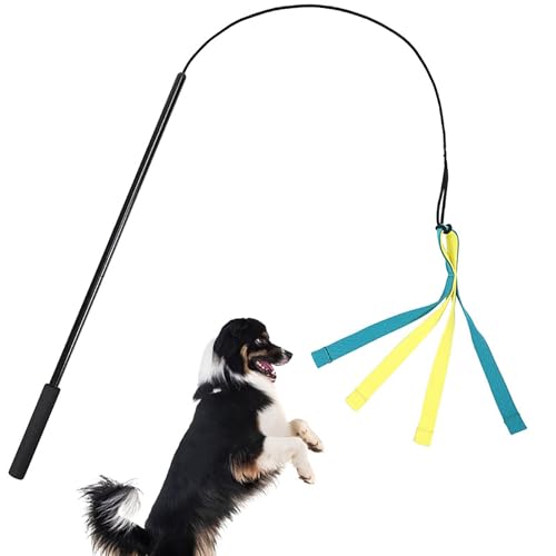 Katzenspielzeug Interaktives Abnehmbares Trainingsspielzeug mit 4 Bunten Bändern Selbstbeschäftigung Intelligenzspielzeug Gegen Langeweile Förderung des Jagdtriebs Geeignet für Spiel Bewegung von Generisch