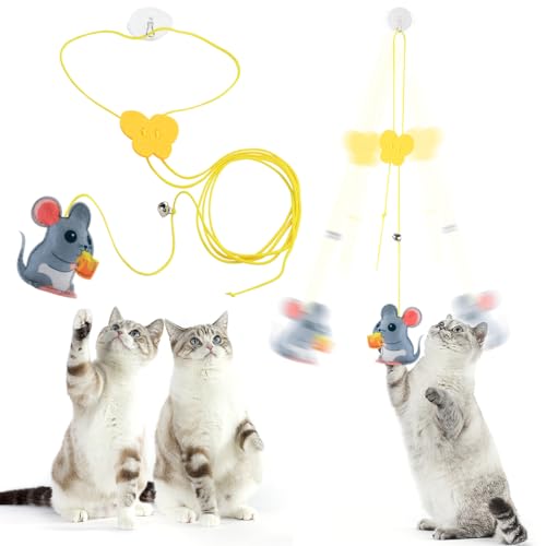 Katzenspielzeug zum Aufhängen: Kätzchen interaktives Spielspielzeug mit elastischem Seil und Katzenminze von Generisch