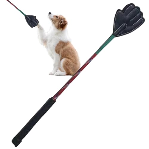 Katzentrainingsstab, tragbarer Flirtstock für kleine Hunde, Haustier-Trainingsgerät, Trainingsstab, ergonomischer Griff, Haushalts-Haustierbedarf für Welpen, Katzen, Kätzchen von Generisch