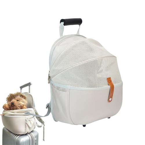 Katzentransportbeutel - gepolsterter Rucksack, Flexible belüftete Schale | Rucksacktransporter für Katzen, Träger für kleine Haustiere, tragbarer Behälter für kleine Reisen, von Generisch