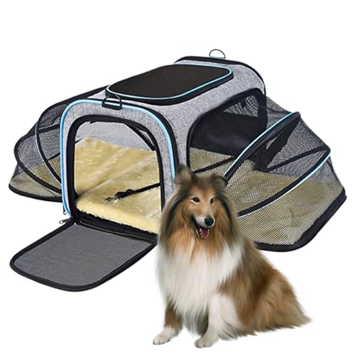 Katzentransportbox, Haustiertransportbox, Haustierreise, erweiterbare Katzentransportbox, Katzentransportbox für, von der Fluggesellschaft zugelassene Haustiertransportbox, atmungsaktive Katz Katzentransportbox, Haustiertransportbox, Haustierreise, erweiterbare Katzentransportbox, Katzentransportbox für, von der Fluggesellschaft zugelassene Haustiertransportbox, atmungsaktive Katz von Generisch
