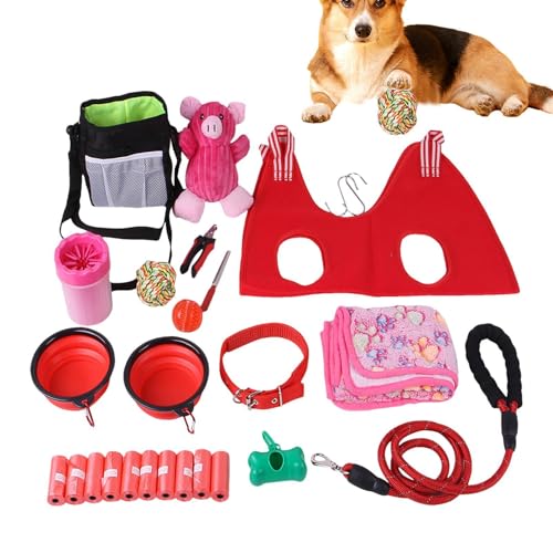 Kauspielzeug-Set für Welpen, multifunktionales Hundespielzeug, stabiles Trainingsgerät, sicher für kleine, mittelgroße und tägliche Hunde Kauspielzeug-Set für Welpen, multifunktionales Hundespielzeug, stabiles Trainingsgerät, sicher für kleine, mittelgroße und tägliche Hunde von Generisch