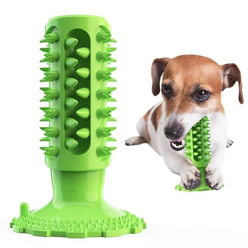 Kauspielzeug für Hunde, Kauspielzeug für Hunde, Zahnbürste, Zahnpflege, Bürsten, Naturkautschuk, bissfest, Saugnapf-Spielzeug für kleine, mittelgroße und große Hunde (grün) von Generisch