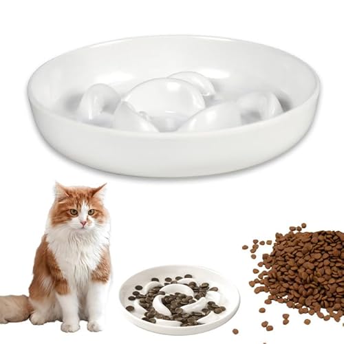 Keramik Anti-Schling-Napf für Katzen – Anti-Erstickungs- und Slow-Feeding-Napf – interaktivem Labyrinth-Design –Elfenbeinweißer Futternapf – Geeignet für Nass- und Trockenfutter – 16 x 16 x 3,2 cm Keramik Anti-Schling-Napf für Katzen – Anti-Erstickungs- und Slow-Feeding-Napf – interaktivem Labyrinth-Design –Elfenbeinweißer Futternapf – Geeignet für Nass- und Trockenfutter – 16 x 16 x 3,2 cm von Generisch
