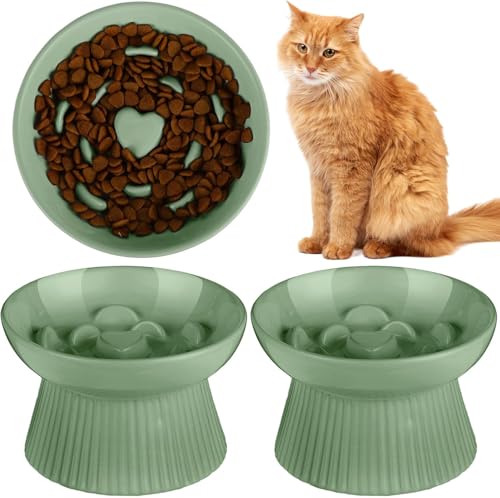 Keramik Erhöhter Katzennapf für Futter und Wasser, 2 Stück, leicht zu reinigen, geeignet für Nass- und Trockenfutter, perfekter Haustiernapf für Katzen von Generisch