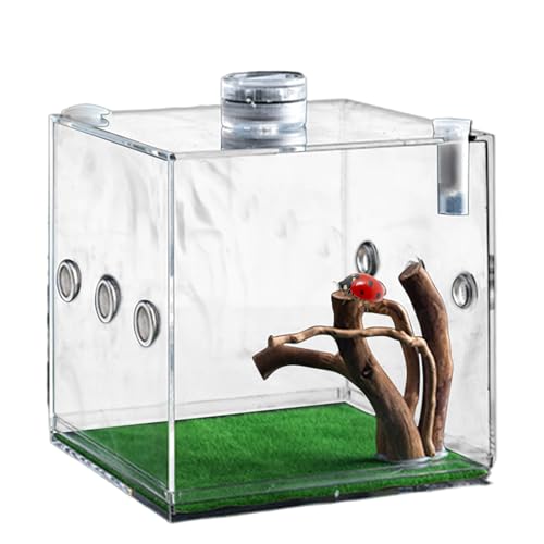 Klarer Reptilienkäfig, Acryl-Terrarium mit Belüftungslöchern und LED -Licht, Reptilien-Terrarium, kompaktes Haustiergehäuse für Schildkröten, Schnecken, Eidechsen und Käfer von Generisch
