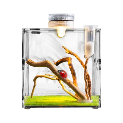 Klarer Reptilienkäfig, Acryl-Terrarium mit Belüftungslöchern und LED -Licht, Reptilien-Terrarium, kompaktes Haustiergehäuse für Schildkröten, Schnecken, Eidechsen und Käfer von Generisch