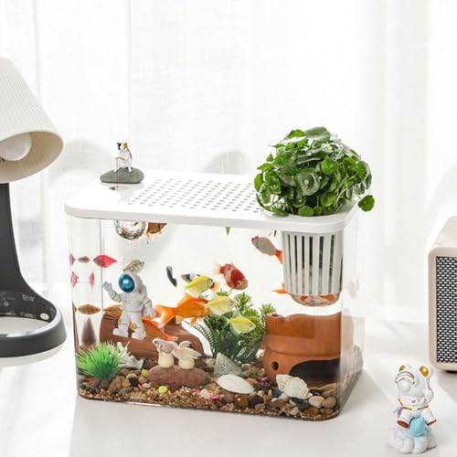 Kleines Aquarium, Kunststoff, transparent, Mikro-Landschaft, Desktop-Aquarium, Betta, Mini-Fischschale, leicht zu pflegen, kleines Aquarium für Betta/Goldfisch/Schnecken/Garnelen und Wasserpflanzen Kleines Aquarium, Kunststoff, transparent, Mikro-Landschaft, Desktop-Aquarium, Betta, Mini-Fischschale, leicht zu pflegen, kleines Aquarium für Betta/Goldfisch/Schnecken/Garnelen und Wasserpflanzen von Generisch