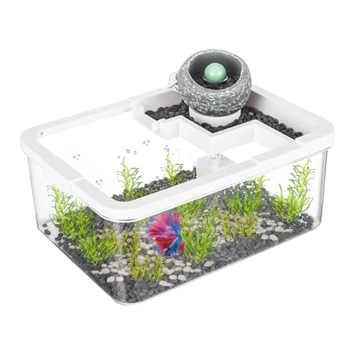 Kleines Aquarium, Miniatur-Tank-Dekoration für den Innenbereich, antikes Hydrokultur-System, Aquarien mit USB-Pumpe und Licht für Riffgarnelen, Quallen, Betta, Desktop-Dekoration von Generisch