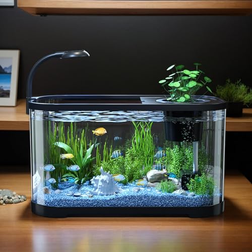 Kleines Aquarium Starterset, Anfängerbecken Für Kampffische Mit LED Licht, Dekoratives Zierfischglas Innenfilter, Für Kampffisch, Schildkröte, Wasserbewohner Kleines Aquarium Starterset, Anfängerbecken Für Kampffische Mit LED Licht, Dekoratives Zierfischglas Innenfilter, Für Kampffisch, Schildkröte, Wasserbewohner von Generisch
