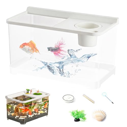 Kleines Betta Fischbecken mit 3 LED-Farben | Kompaktes Kampffisch Aquarium für Zuhause, Schreibtisch & Hydrokultur Pflanzen Dekoration von Generisch