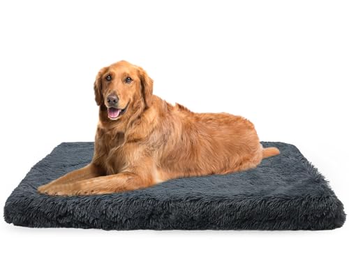 Kleines Hundebett – waschbare Matratze mit rutschfester Unterseite für Komfort und Unterstützung, ideal für den Innenbereich und Kisten von Generisch
