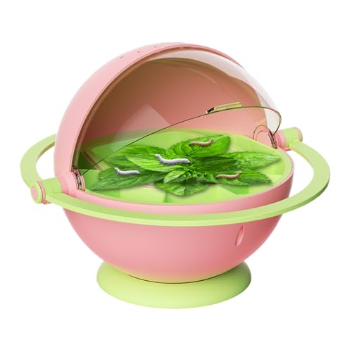 Kleintier Zuchtbox - Seidenraupen Brutbehälter - Transparentes Habitat Mit Lernfunktion Für Zuhause Und Schule Kleintier Zuchtbox - Seidenraupen Brutbehälter - Transparentes Habitat Mit Lernfunktion Für Zuhause Und Schule von Generisch