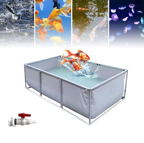 Koi Aquarium, faltbarer Segeltuch-Fischteich mit klarem Sichtfeld, für drinnen und draußen, kein Graben von Schildkröten, Goldfischteich mit 304SS Rahmen und Ablaufventil Koi Aquarium, faltbarer Segeltuch-Fischteich mit klarem Sichtfeld, für drinnen und draußen, kein Graben von Schildkröten, Goldfischteich mit 304SS Rahmen und Ablaufventil von Generisch