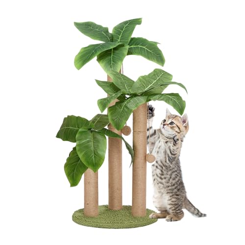 Kratzbaum für Katzen, 80 cm, mittelgroß, mit 3 Kratzstangen und 2 hängenden Bällen, natürliches Sisalseil für große Katzen von Generisch