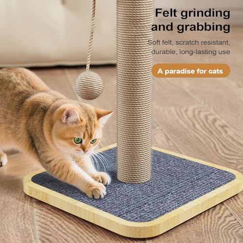 Kratzturm für den Innenbereich, hoher Kletterbaum mit Spielzeugball, robuster Möbelschoner für Couch, Teppichschutz, Kätzchen-Aktivitätszentrum, F0R, Engagement und Spielen, Kratzlösung für Wand und von Generisch