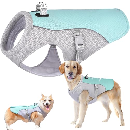 Kühlweste Hund, Mittelgroßen und großen Hunden Cooling Vest, Sicherheitsweste für Klein Mittel Hunde, Kühljacke für Aktivitäten Draußen Wandern Training (blau, XL) von Generisch