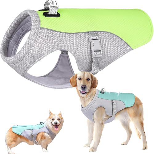 Kühlweste Hund, Mittelgroßen und großen Hunden Cooling Vest, Sicherheitsweste für Klein Mittel Hunde, Kühljacke für Aktivitäten Draußen Wandern Training (grün, L) von Generisch