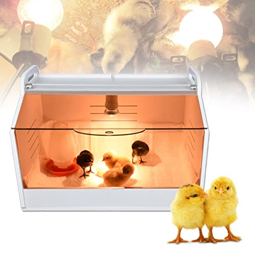 Küken-Brutkasten mit Heizlampe und Glasfenster für Papageien, Entchen, Kätzchen, Welpen Küken-Brutkasten mit Heizlampe und Glasfenster für Papageien, Entchen, Kätzchen, Welpen von Generisch
