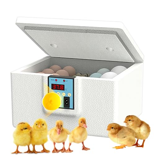 Küken Inkubator Intelligente Eier Brutkasten Heizung Temperaturgesteuerte Digitalanzeige Touch Control Geflügel Brutgerät für Hühnerente von Generisch
