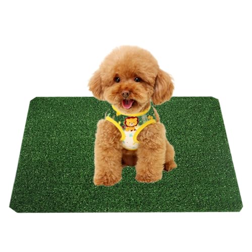 Kunstrasenteppich für Hunde – Töpfchentablett, Kunstrasen, für drinnen und draußen, Hunde-Töpfchentrainingsbereich, Rasenteppich, starke Saugfähigkeit, weiches und echtes Gras für Terrasse, Kunstrasenteppich für Hunde – Töpfchentablett, Kunstrasen, für drinnen und draußen, Hunde-Töpfchentrainingsbereich, Rasenteppich, starke Saugfähigkeit, weiches und echtes Gras für Terrasse, von Generisch