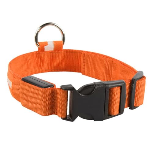 LED-Halsband für Hunde, Seidennetz, Nylon, leuchtendes kleines Halsband, wasserabweisend, leuchtet im Dunkeln von Generisch