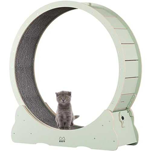 Large Cat Running Wheel - Indoor Treadmill & Scratching Post for Cat Entertainment, Natural Wood Large Cat Running Wheel - Indoor Treadmill & Scratching Post for Cat Entertainment, Natural Wood von Generisch