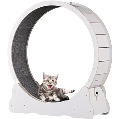 Large Cat Running Wheel - Indoor Treadmill & Scratching Post for Cat Entertainment, Natural Wood Large Cat Running Wheel - Indoor Treadmill & Scratching Post for Cat Entertainment, Natural Wood von Generisch