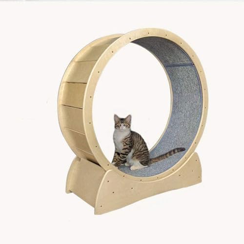 Laufband für Katzen, Laufband mit Teppichboden für Haustiere, Gewichtsverlust und tägliche Bewegung von Generisch