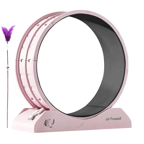 Laufrad für Katzen, Laufband für Kätzchen und Fitness | Drehscheibe für Hauskatzen Abnehmen Geräuscharm von Generisch
