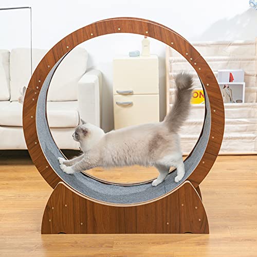 Laufrad für Katzen, Training, Fitness, Gewichtsverlust, Sportspielzeug, Indoor-Spielzeug, Verriegelungsmechanismus, XL von Generisch