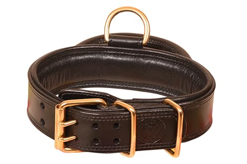 Leather Dog Collar (Black) von Generisch