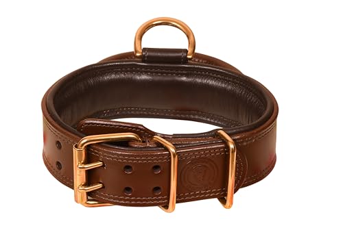 Leather Dog Collar (Brown) von Generisch