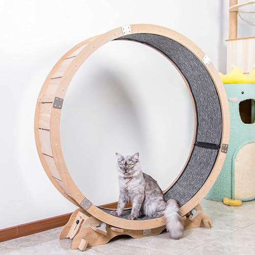 Leises Katzen-Trainingsrad aus Holz – natürliches rundes Laufband für Indoor-Haustier-Fitness (Eichenkonstruktion) von Generisch