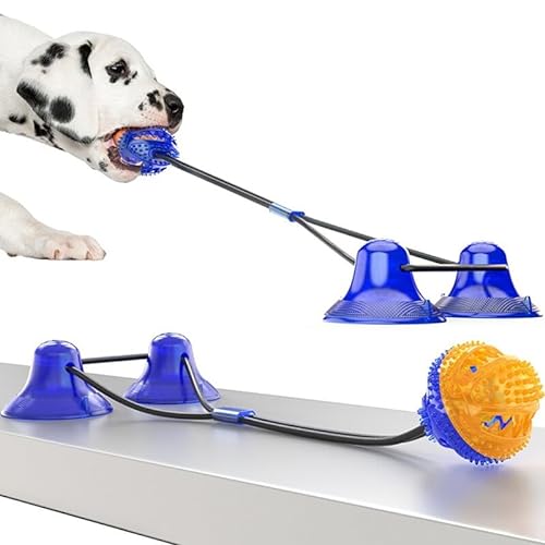 Leistungsstarkes Kauspielzeug für Hunde mit Saugnapf und doppeltem Ball für aggressive Kauer – langlebiges Gummi-Leckerli-Spenderspielzeug für Indoor-Spielen von Generisch