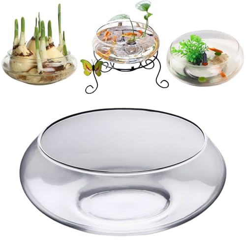 Lotusschale, Pflanzgefäß, 20 cm, dekorative Glasschale für Hydrokultur-Wasserpflanzen, ideal für Narzissen, Tazetta, Heimdekoration, perfekt für Süßwasserpflanzen Lotusschale, Pflanzgefäß, 20 cm, dekorative Glasschale für Hydrokultur-Wasserpflanzen, ideal für Narzissen, Tazetta, Heimdekoration, perfekt für Süßwasserpflanzen von Generisch